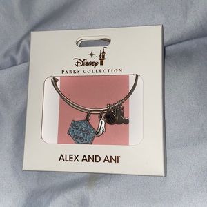 Disney park Cinderella Alex and ani